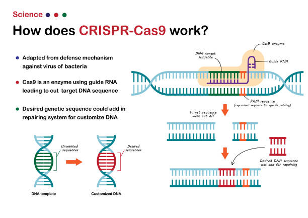 CRISPR