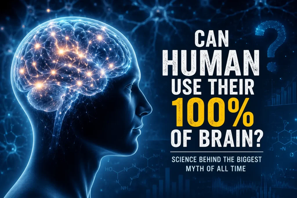 Lucy movie genre