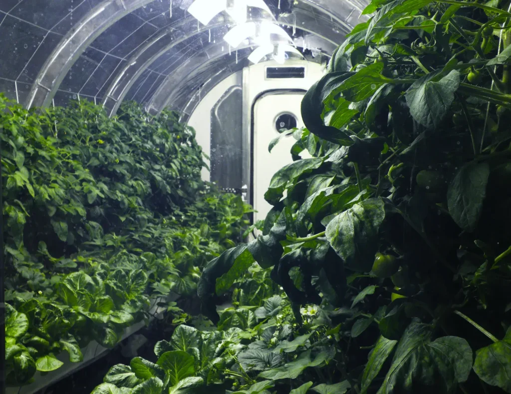 Mars green house experiment
